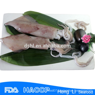 HL0088 Quality and healthy Frozen argentina squid
